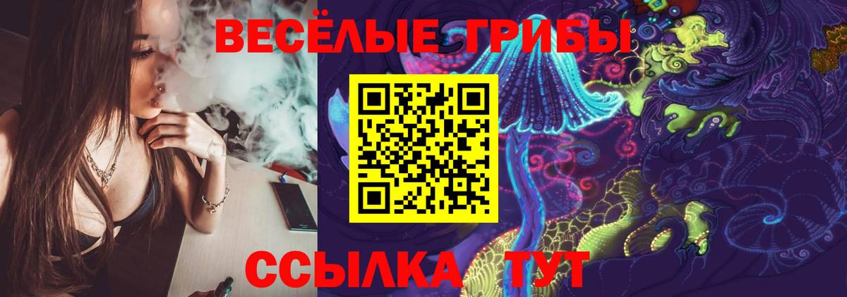 Новосибирск  Псилоцибиновые грибы мицелий  Вход с VPN 